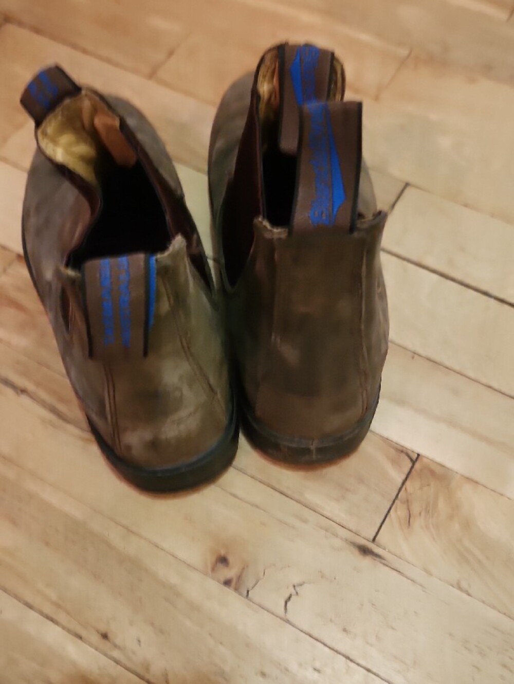 Blundstone Brown Chelsea Ankle Boots - Picture 6 of 12